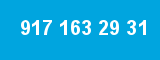 917 163 29 31